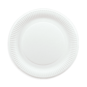 Assiettes plates carton 23cm