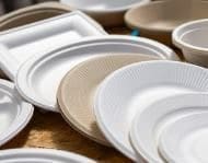 Assiettes jetables, biodégradables et compostables